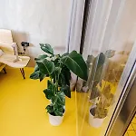 Silesia Loft Οστράβα